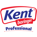 kent-profesional